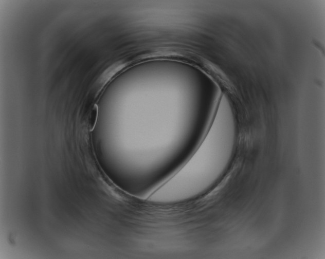 X0000095691177200801081032