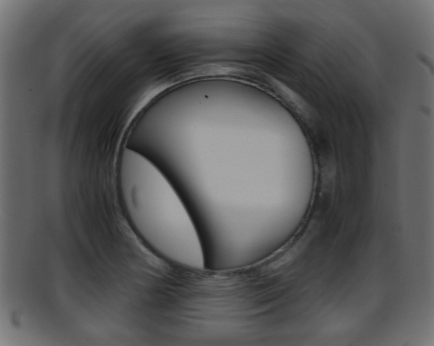 X0000095691178200801081032