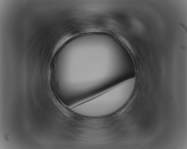X0000095691179200801081032
