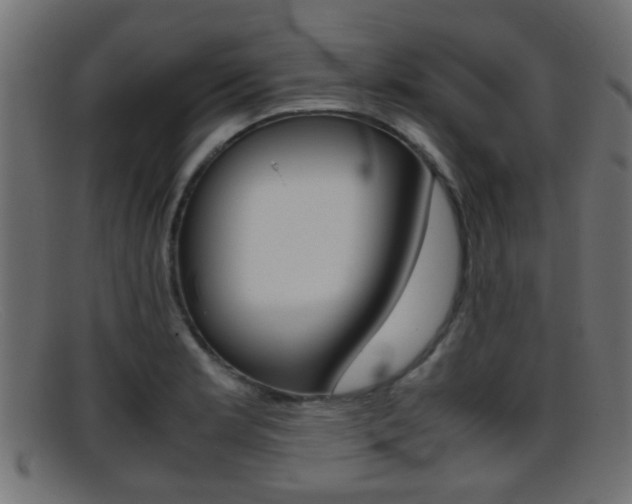 X0000095691181200801081032