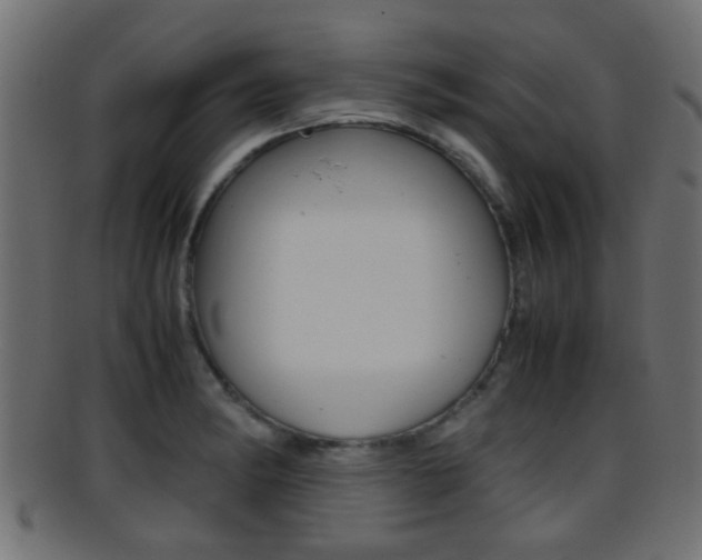 X0000095691182200801081032