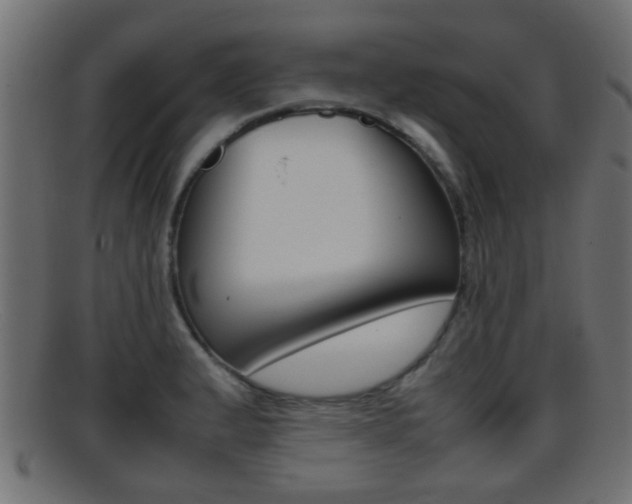 X0000095691183200801081032