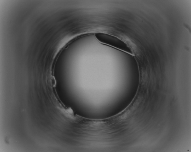 X0000095691184200801081032