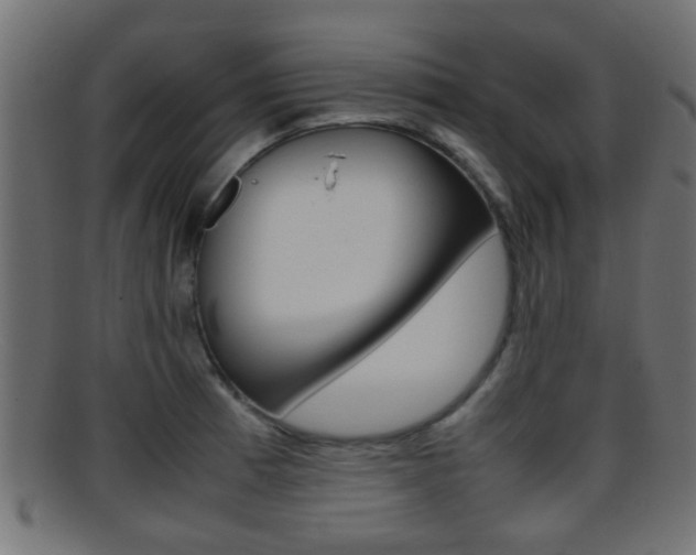 X0000095691185200801081032