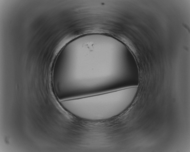 X0000095691187200801081032