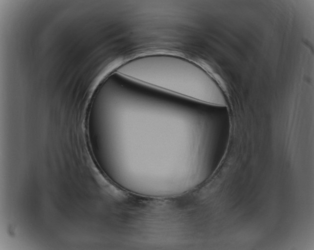 X0000095691189200801081032