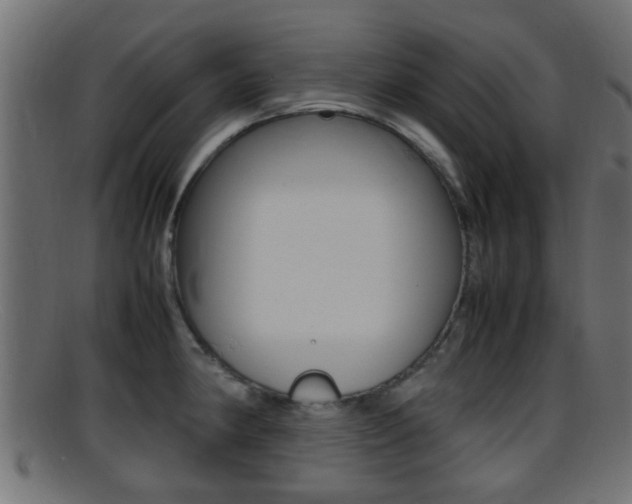 X0000095691190200801081032
