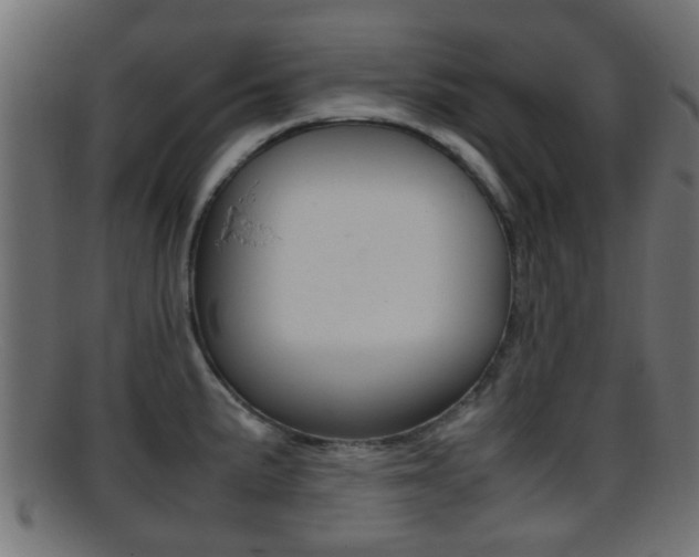 X0000095691191200801081032