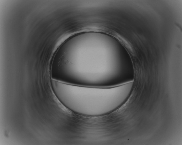 X0000095691192200801081032