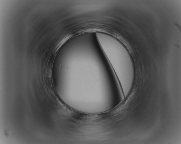 X0000095691193200801081032