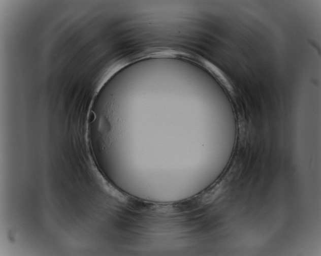 X0000095691194200801081032