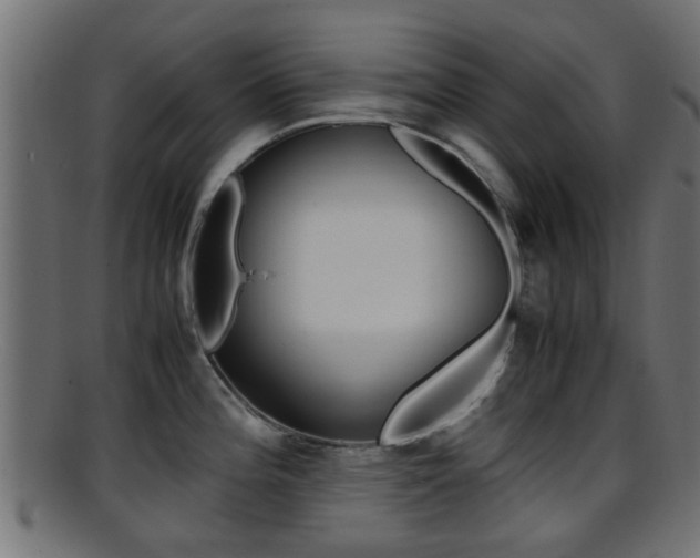 X0000095691196200801081032
