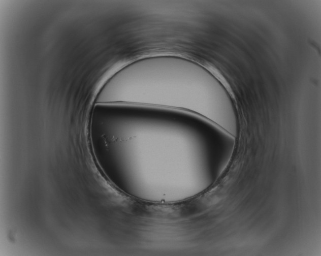 X0000095691197200801081032
