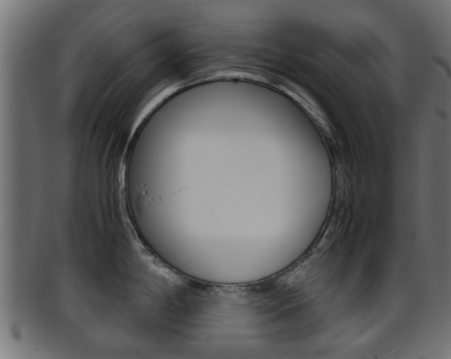 X0000095691198200801081032
