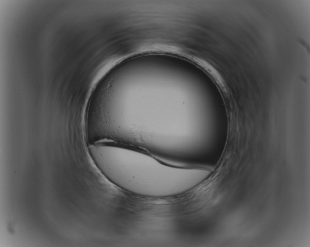 X0000095691199200801081032