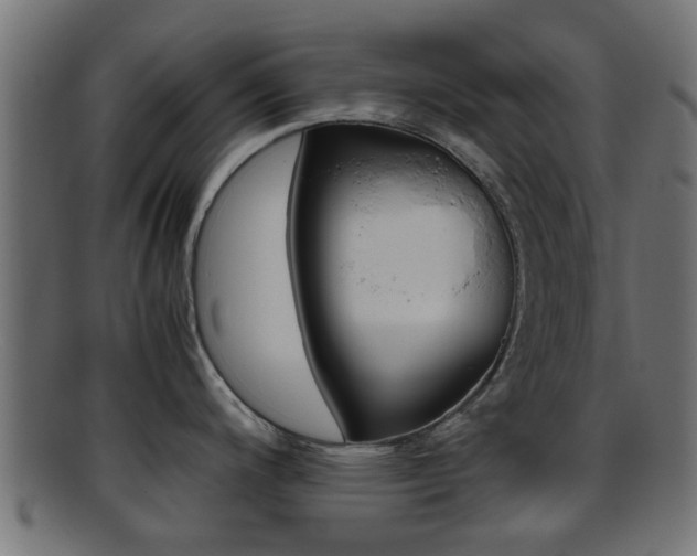 X0000095691200200801081032