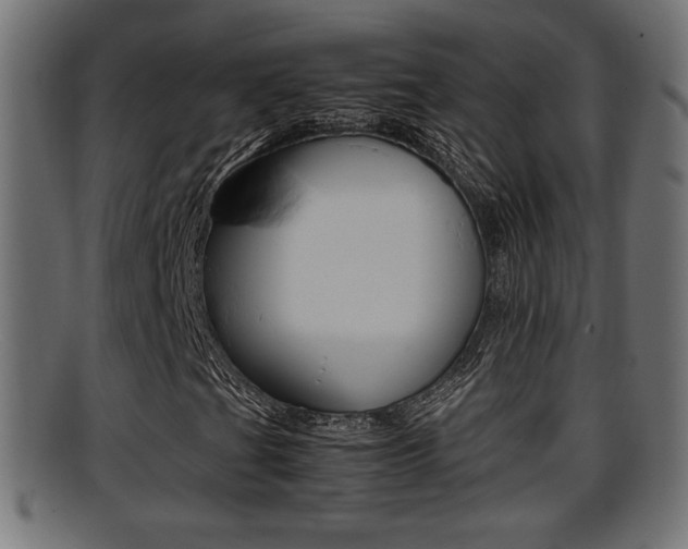 X0000095691201200801081031