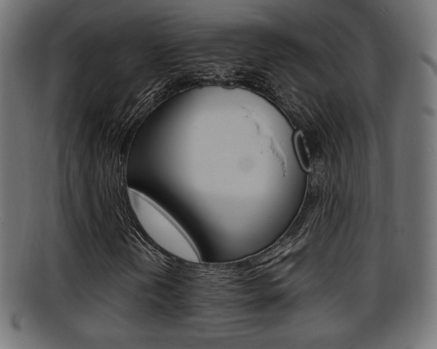 X0000095691202200801081031
