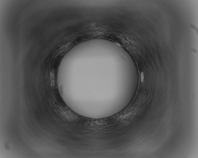 X0000095691203200801081031