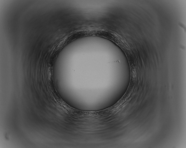 X0000095691204200801081031