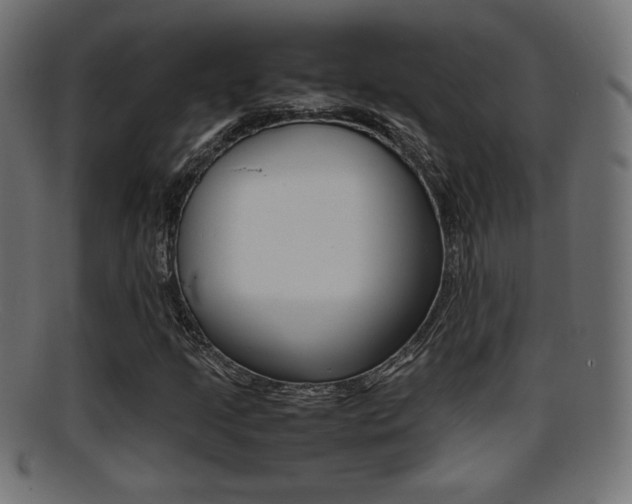 X0000095691205200801081031