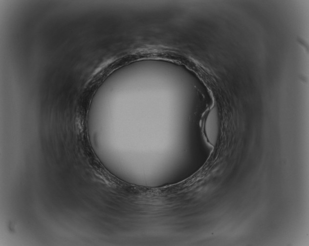X0000095691206200801081031