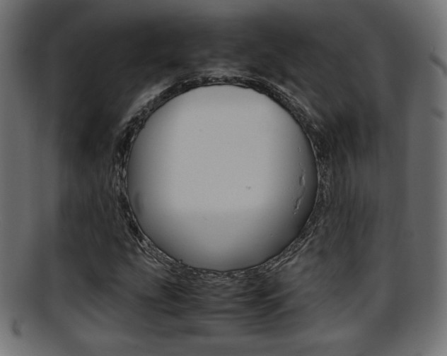 X0000095691207200801081031