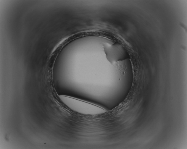 X0000095691208200801081031