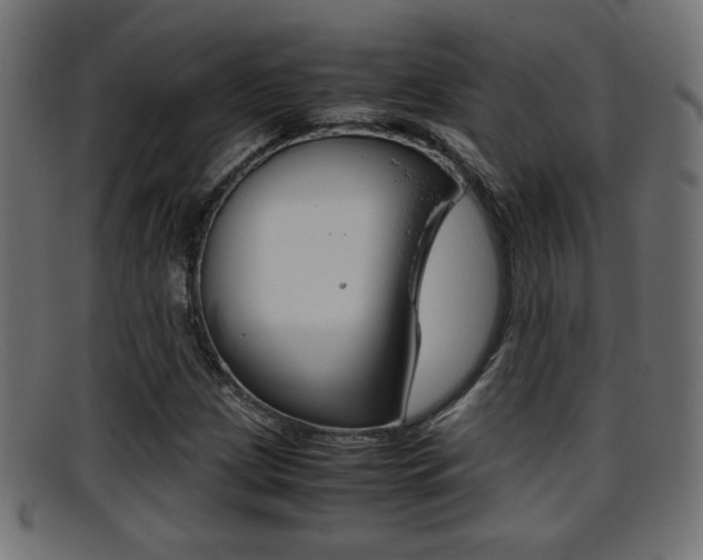 X0000095691209200801081031