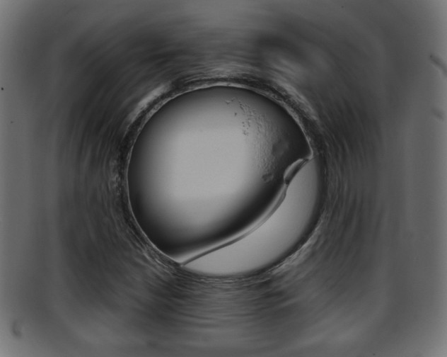 X0000095691210200801081031