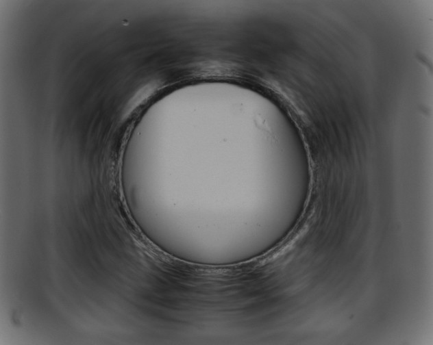 X0000095691211200801081031
