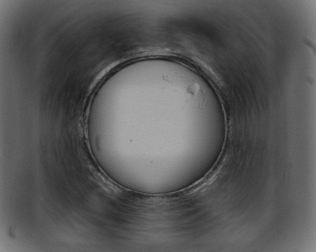 X0000095691212200801081031