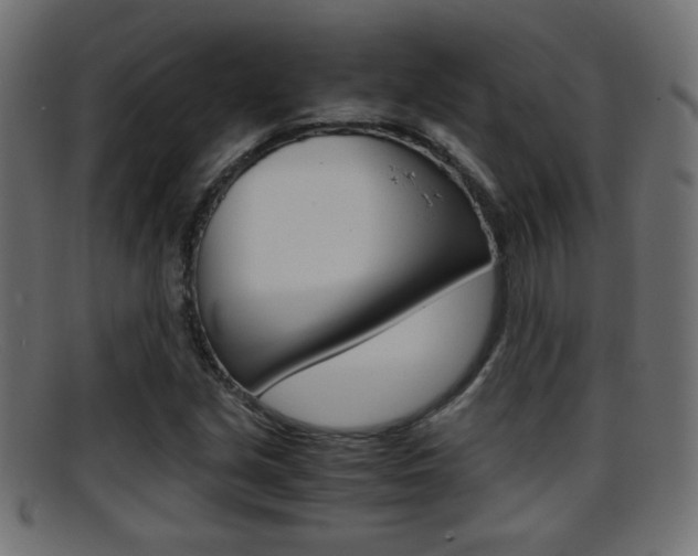 X0000095691213200801081031