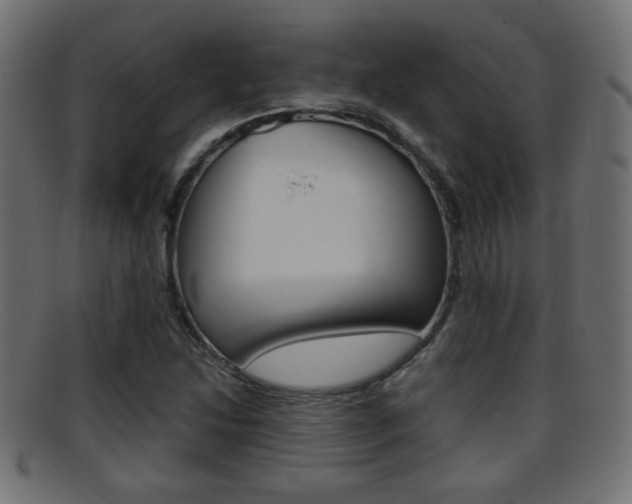 X0000095691214200801081031