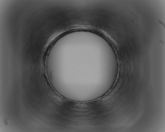 X0000095691215200801081031