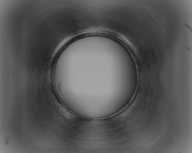 X0000095691216200801081031