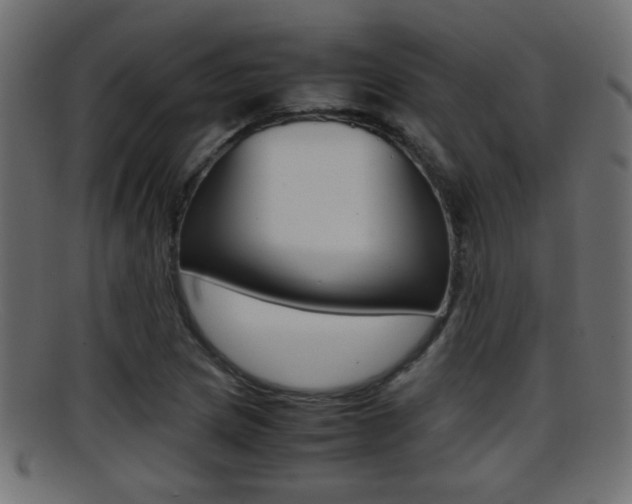 X0000095691217200801081031