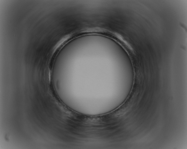X0000095691221200801081032