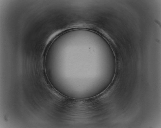 X0000095691222200801081032