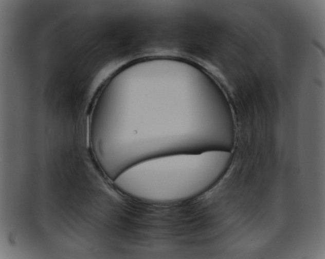 X0000095691223200801081032