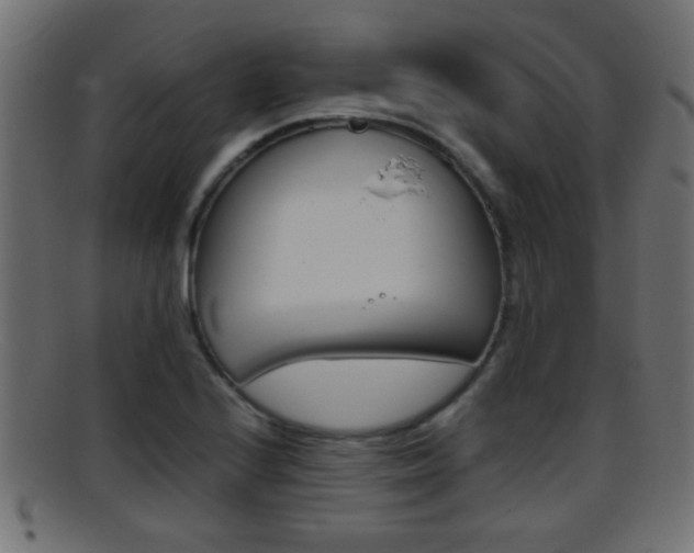 X0000095691224200801081032
