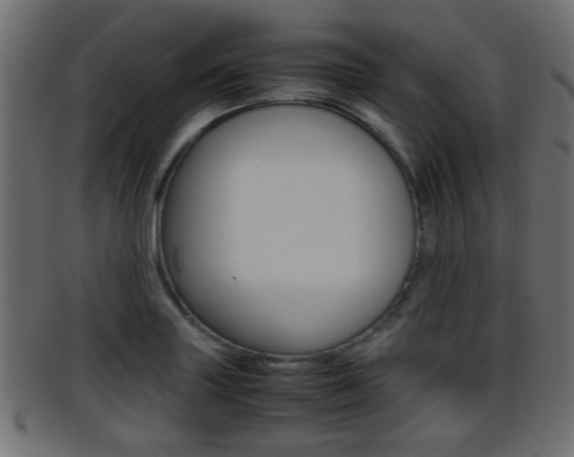 X0000095691227200801081032