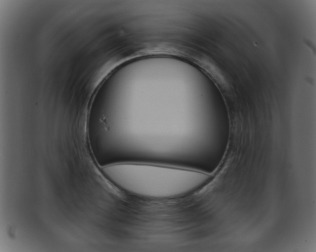 X0000095691228200801081032