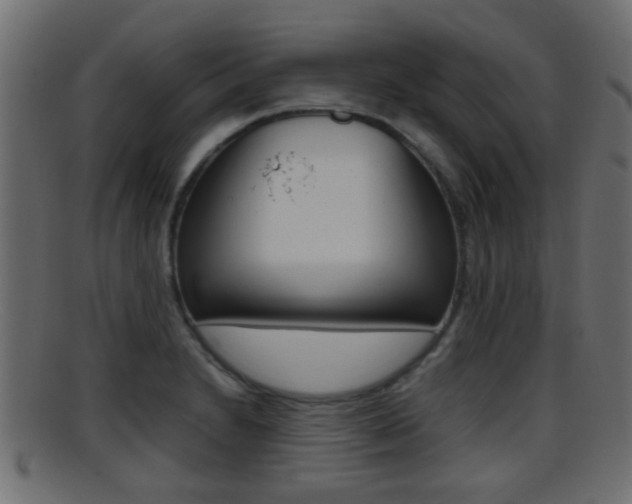 X0000095691230200801081032