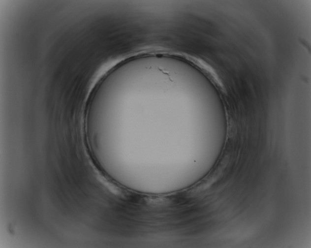 X0000095691231200801081032