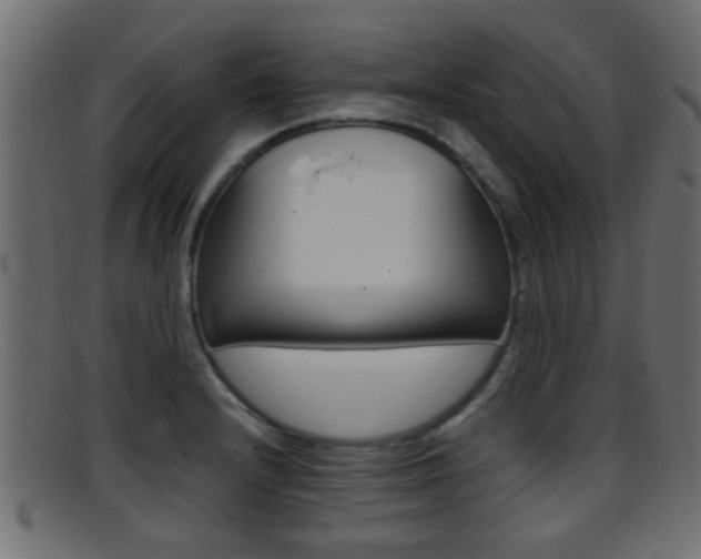 X0000095691232200801081032