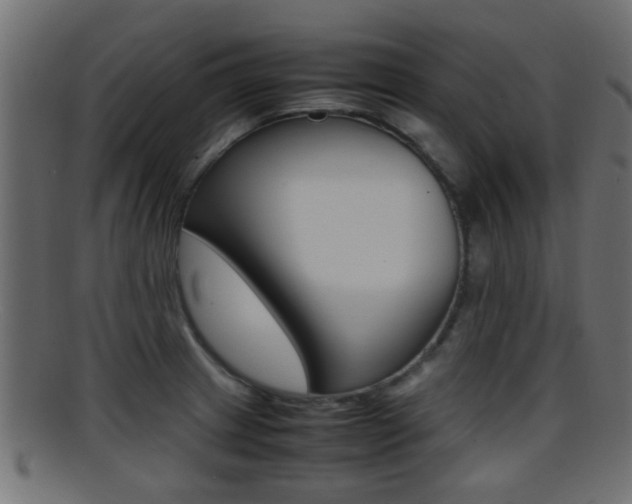 X0000095691233200801081032