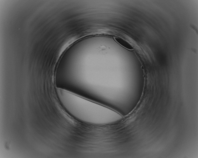 X0000095691234200801081032