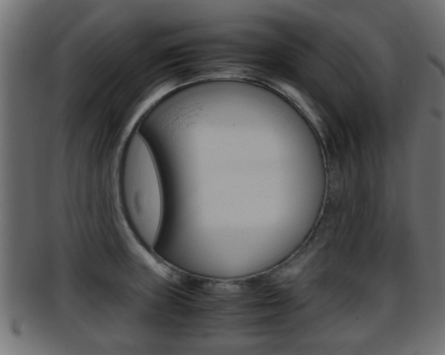 X0000095691235200801081032