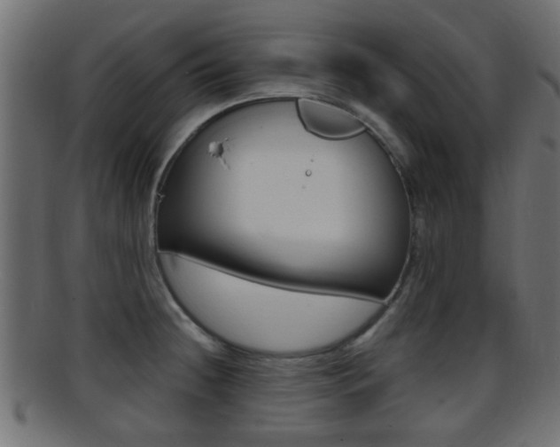 X0000095691236200801081032